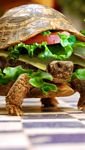 pic for Turtle Burger 
